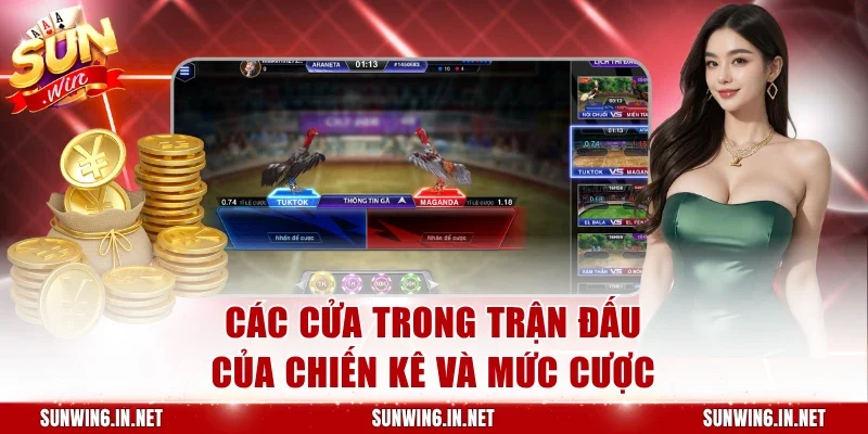 Các cửa trong trận đấu của chiến kê và mức cược