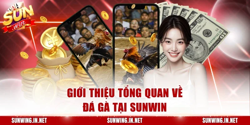Giới thiệu tổng quan về đá gà tại Sunwin